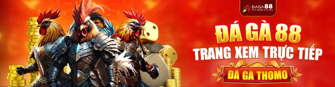 Hình ảnh tổng quan về 97win5, nền tảng giải trí trực tuyến hàng đầu