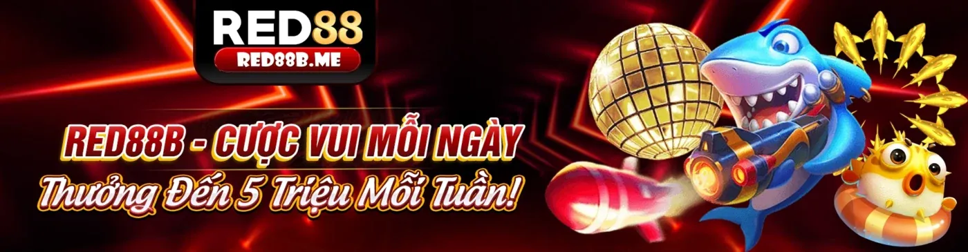 Trải nghiệm 97win5 trên nhiều thiết bị