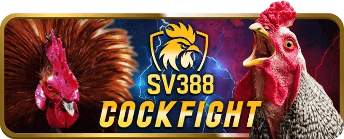 Cá cược tennis 97win5